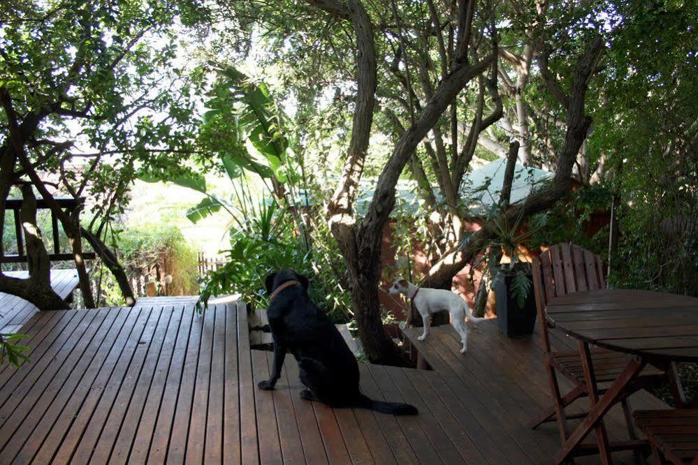 Zen Guesthouse เจฟฟรีส์เบย์ ภายนอก รูปภาพ
